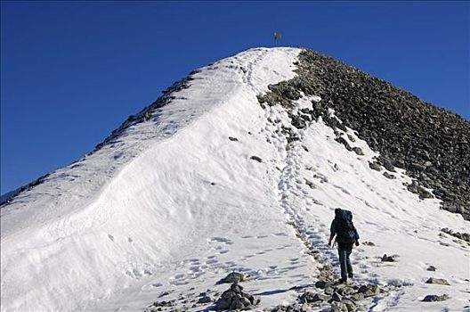 积雪,顶峰,瓦莱,瑞士