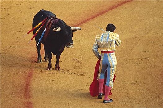 斗牛士,争斗,公牛,牛,哺乳动物,斗牛场,塞维利亚,西班牙,欧洲,动物