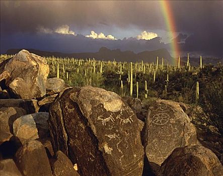 岩刻,信号,山,萨瓜罗国家公园,亚利桑那