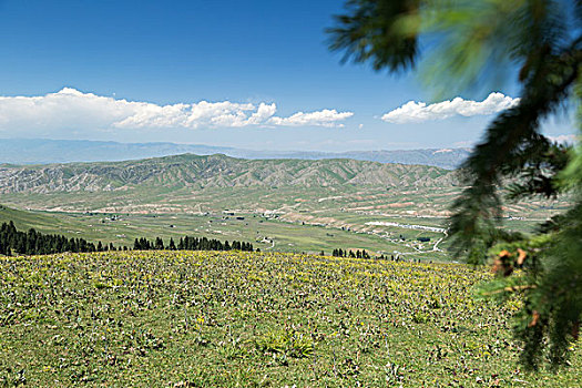 新疆喀拉峻草原峡谷