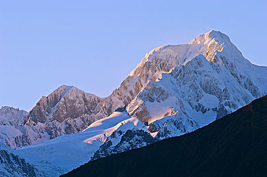 风景,狐狸,冰河,西区国家公园,南阿尔卑斯山,南岛,新西兰