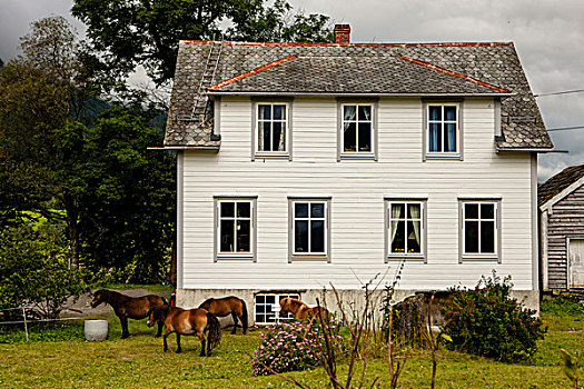马,建筑,挪威
