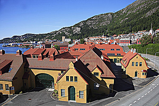挪威,卑尔根,区域,全视图,建筑