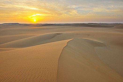 沙丘,日出,利比亚沙漠,撒哈拉沙漠,埃及,非洲