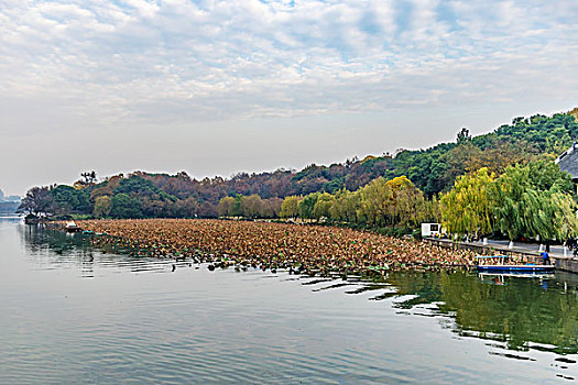 杭州西湖秋景孤山