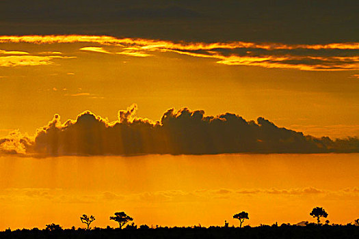 日落,克鲁格国家公园,南非