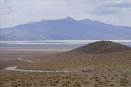 风景,弯路,乌尤尼,高地,玻利维亚