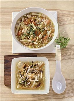 蔬菜浓汤,鸡汤,粉条,蘑菇