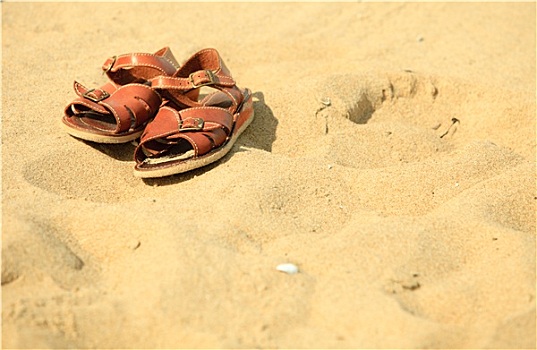 鞋,褐色,皮革,凉鞋,沙滩,夏天