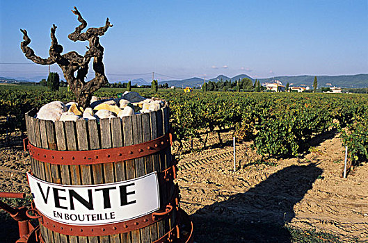 广告,葡萄酒,销售,葡萄园,葡萄种植,靠近,普罗旺斯,法国,欧洲