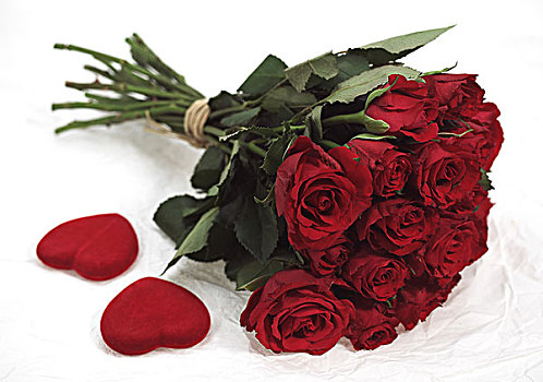 红玫瑰,情人节