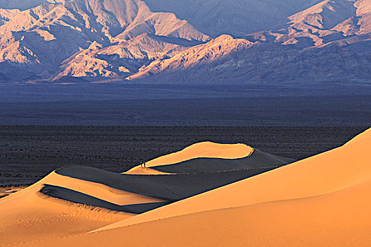 远足,走,日出,沙丘,复杂,室内,死亡谷国家公园