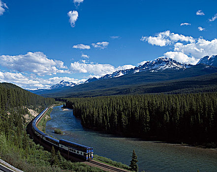 铁路,列车,加拿大,落基山脉,班芙国家公园,艾伯塔省