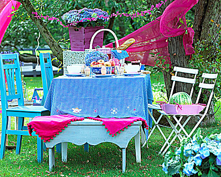桌子,野餐,花园