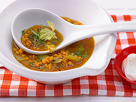 小扁豆汤,咖哩,芹菜