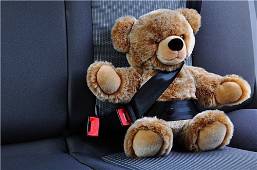 乘客,泰迪熊