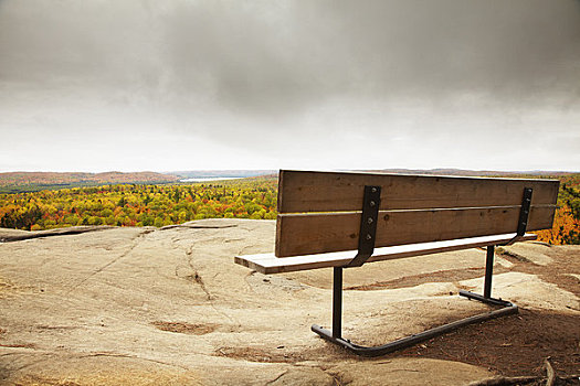 长椅,阿尔冈金省立公园,安大略省,加拿大