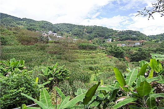 乡村旅游看临沧