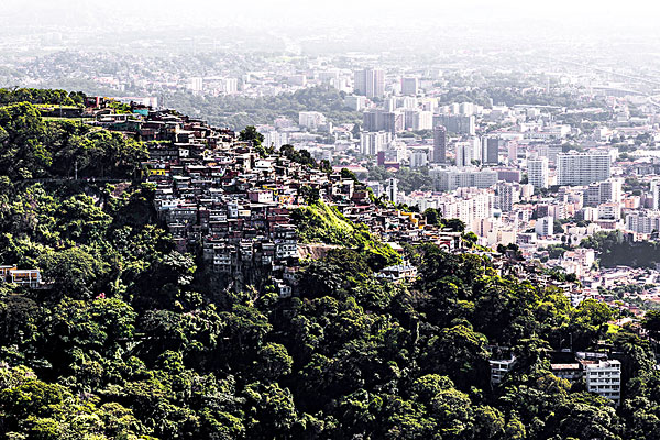 俯视图,树林,里约热内卢,巴西