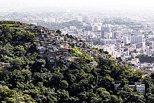 俯视图,树林,里约热内卢,巴西