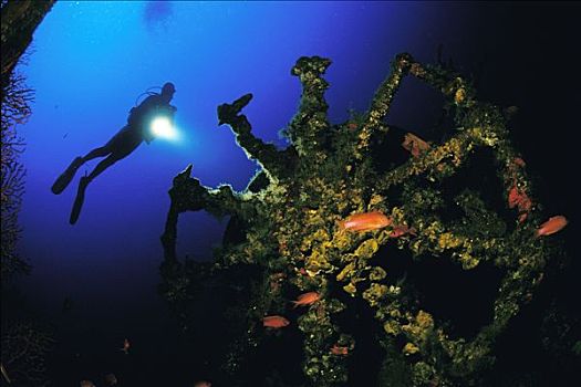 法国,波克罗勒岛,潜水,残骸