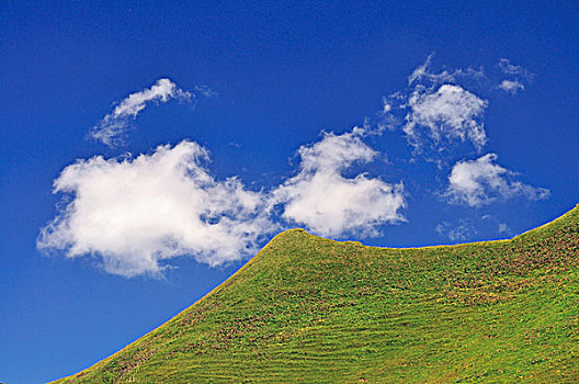 陡峭,高山,草地,靠近,山,马鞍,雾笛峰,阿尔卑斯山,区域,巴伐利亚,德国,欧洲