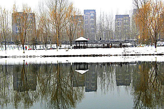 良乡小清河雪景