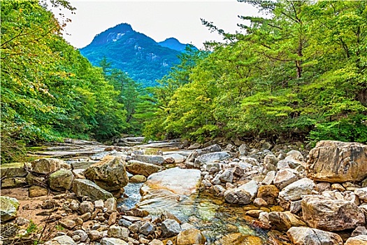 河,山林,韩国