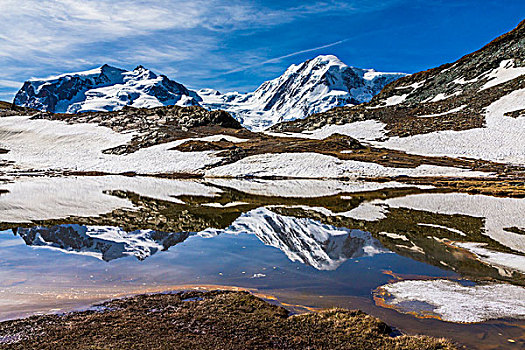 湖,反射,积雪,山,阿尔卑斯山,春天,策马特峰,瑞士