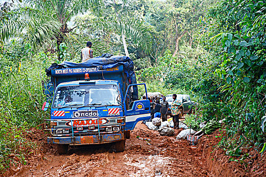 卡车,困住,泥,丛林,小路,喀麦隆,非洲