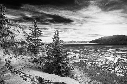 冬季风景,特纳甘湾,阿拉斯加