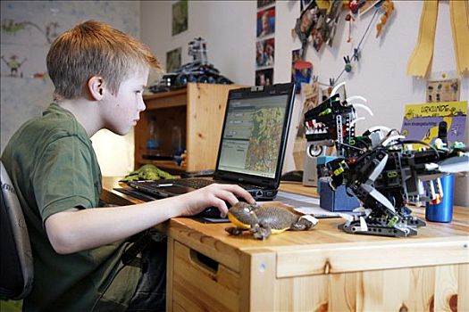 男孩,工作,电脑,在家,卧室,书桌,学习,地理,学校,地图,软件