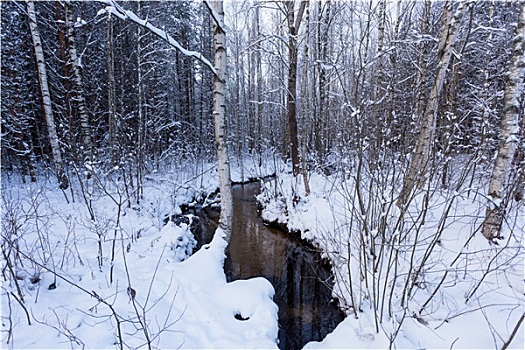 冰冻,河流,冬天,树林