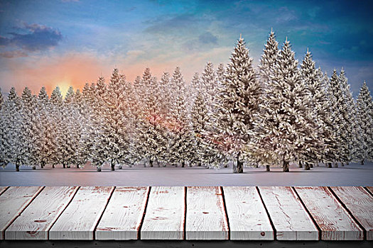 合成效果,图像,木桌子,冷杉,树林,雪景