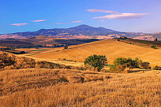 俯视,乡村风光,锡耶纳省,托斯卡纳,意大利