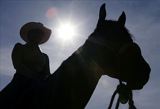 剪影,马,骑乘,牛仔帽,正面,盯视,太阳