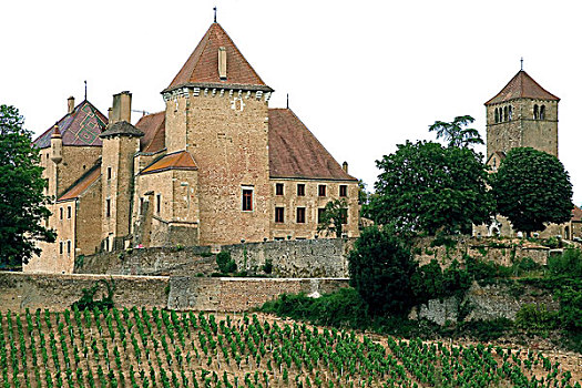 葡萄园,城堡,14世纪,酒乡,勃艮第,法国