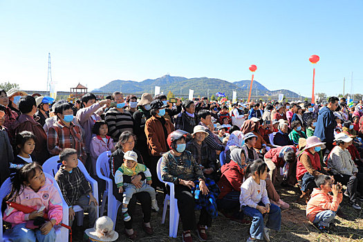 山东省日照市,千亩水稻喜获丰收,数千观众沉浸式体验稻田文化