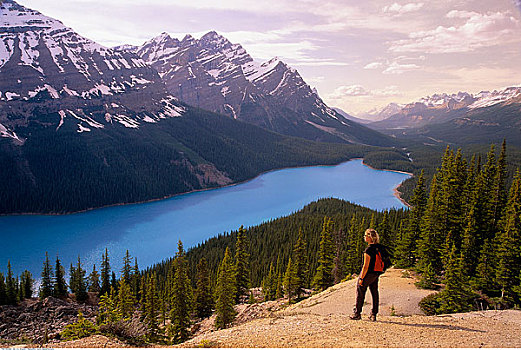 女人,佩多湖,班芙国家公园,艾伯塔省,加拿大