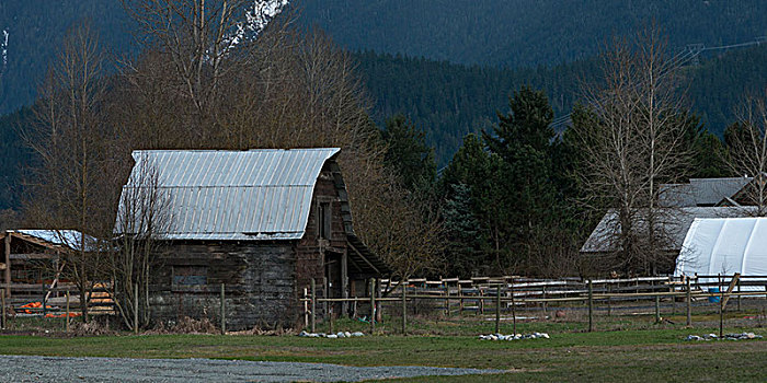 谷仓,农场,惠斯勒,不列颠哥伦比亚省,加拿大