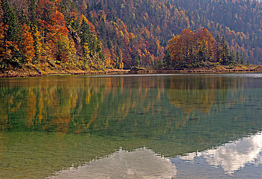 湖,秋天,齐姆高,上巴伐利亚,巴伐利亚,德国,欧洲