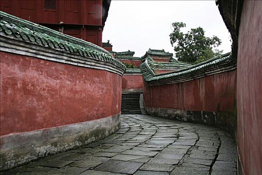 小路,武当山,寺院,中国
