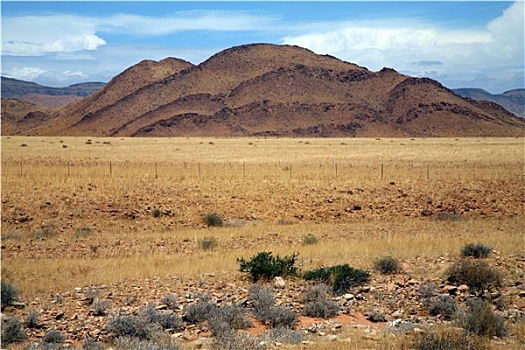 荒野,纳米比亚