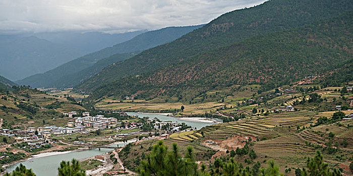 俯拍,河,普那卡,山谷,地区,不丹