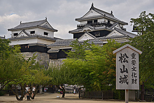 斑点,松山市,城堡,日本