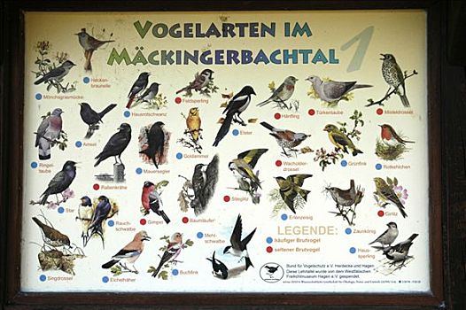 标识,种类,鸟,威斯特伐利亚,露天博物馆,道路,产业,文化,北莱茵威斯特伐利亚,德国