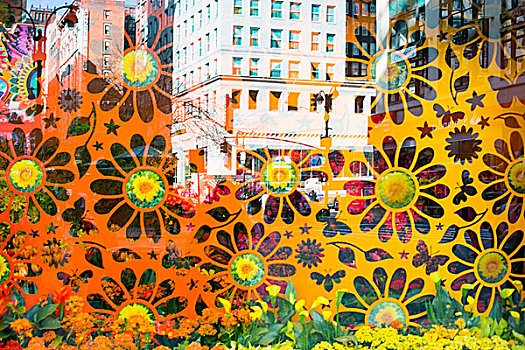 纽约,美国,花,窗户,展示,春天