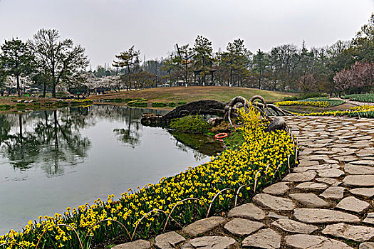 杭州太子湾公园春景
