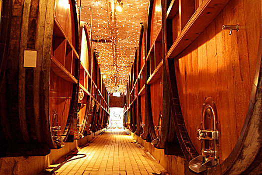 木质,葡萄酒桶,工业,酒窖