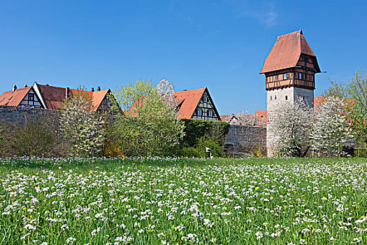 塔,城墙,浪漫大道,丁克尔斯比尔,中间,弗兰克尼亚,巴伐利亚,德国,欧洲